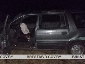 Пьяный бесправник врезался в гужевую повозку в Столинском районе