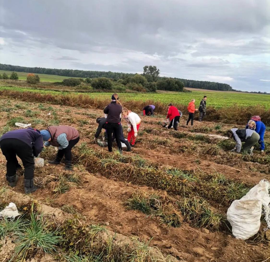 Что происходит с сельским хозяйством в Беларуси?