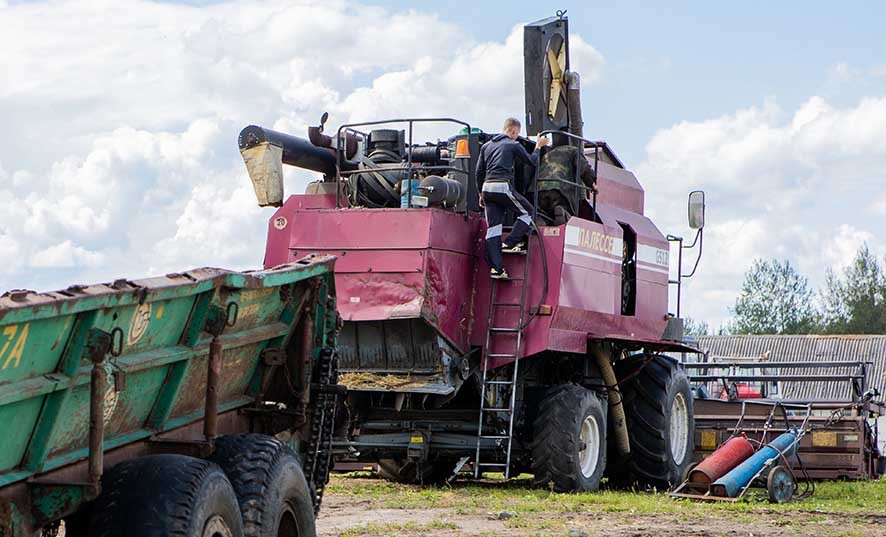Все равно воруют. Какие есть нарушения в сельском хозяйстве Брестской области?
