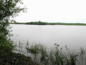 Почему тонут рыбаки: в Столинском районе две трагедии за неделю