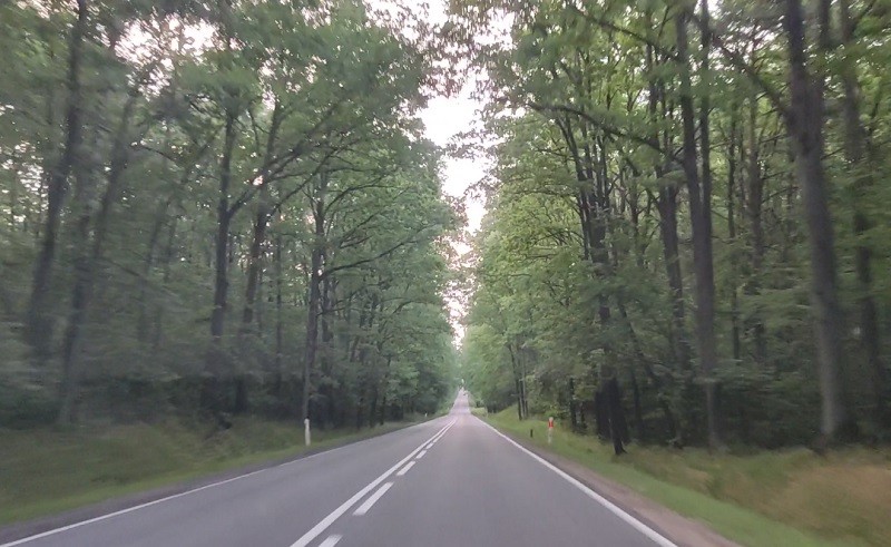 дорога в Польше