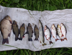 Пошёл на рыбалку с сетью — попался сам