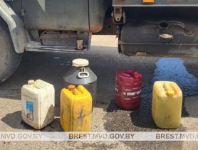 Кому – соляра, кому — комбикорм. Что «тащат» в селах Брестской области?