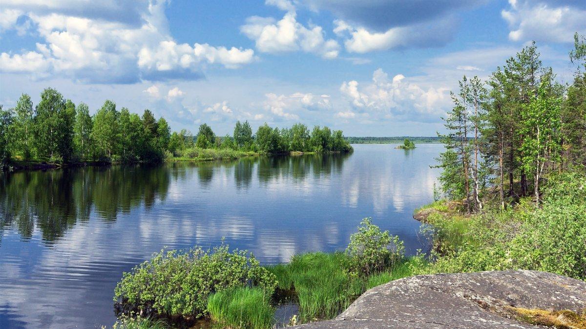 На радость грибникам: какая погода будет в последние выходные июля