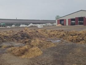 Животновод развел костер на ферме и нанес ущерб на 17 тысяч рублей