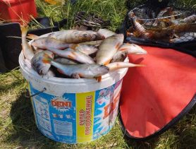 Поймал 17 кг рыбы: кто прав в дискуссии рыбаков?