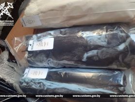 Куда через Брест везли ценный мех и почему так дешево?