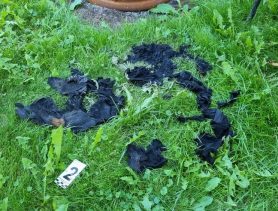 Пьянка завершилась поджогом: жителя Кобрина подозревают в покушении на убийство