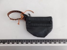 На границе в Бресте мужчина проглотил содержимое своего кошелька