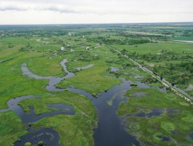 Новый заказник «Пойма Львы» появился в Брестской области