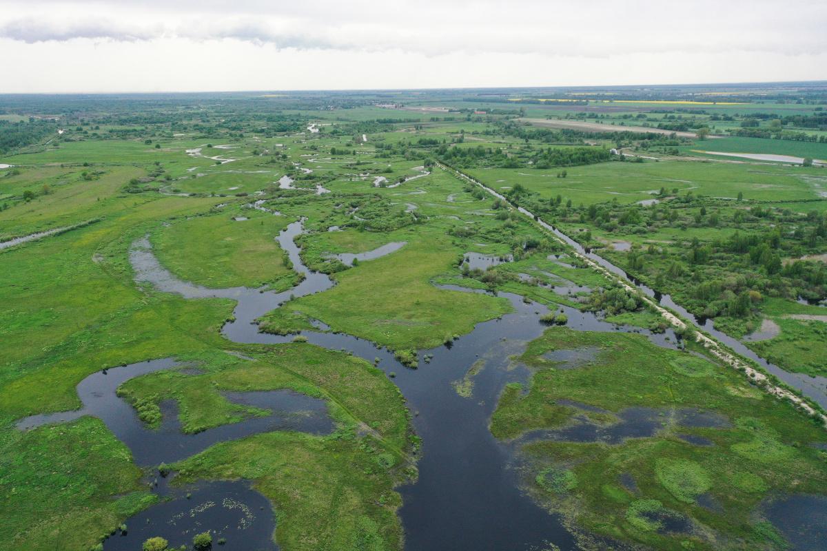 Новый заказник «Пойма Львы» появился в Брестской области 