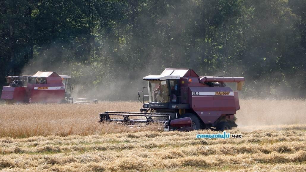 Кто лидирует, а кто плетется в хвосте в жатве-2023 в Брестской области?