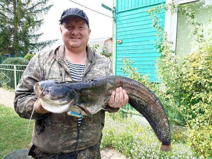 сом рыбалка