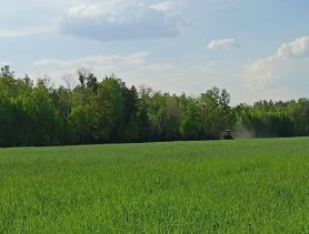 Фермера из Брестской области обязали дополнительно уплатить в бюджет 236 тысяч рублей