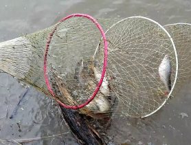 Пенсионер наловил рыбы на уголовное дело и пару тысяч рублей