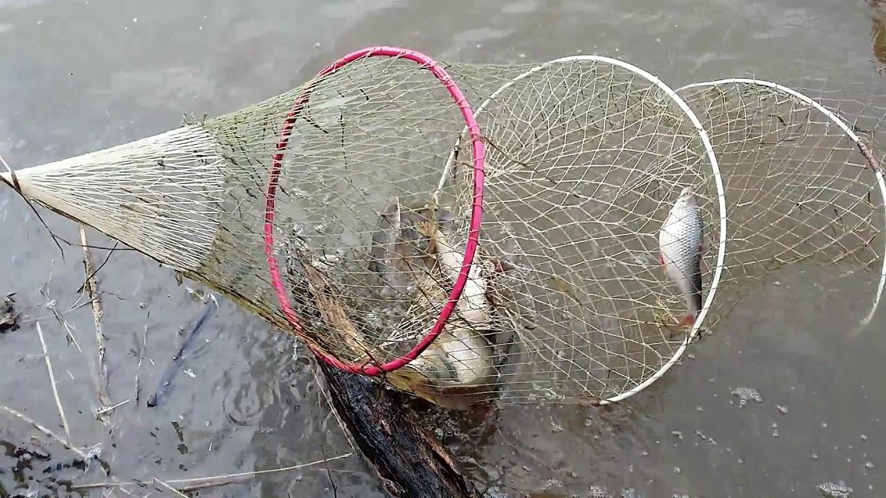 Пенсионер наловил рыбы на уголовное дело и пару тысяч рублей