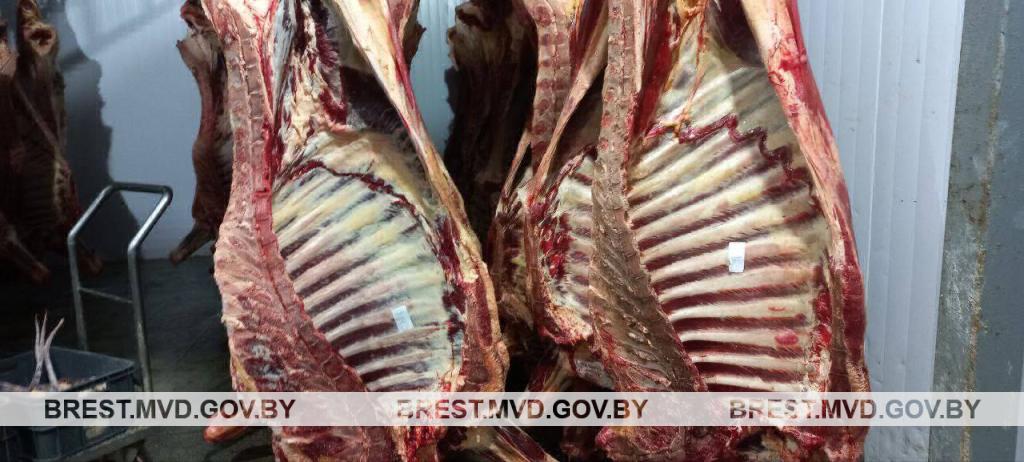 Много мяса не бывает: в Пружанах недосчитались сотни килограммов говядины