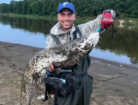 Как порыбачили в Беларуси в последние выходные лета