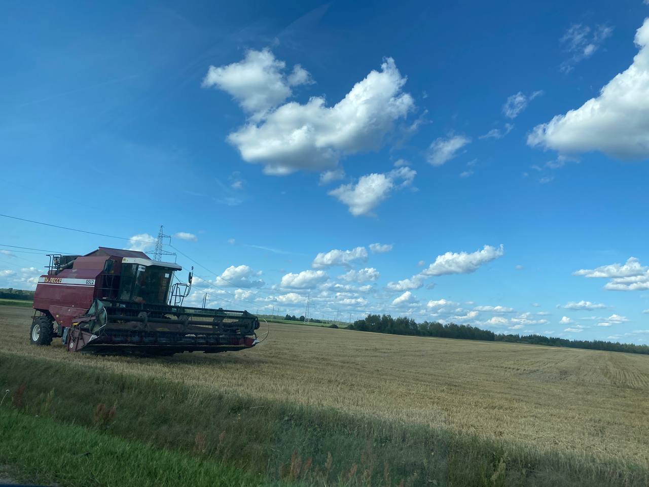 В Беларуси придется закупать за границей миллион тонн зерна