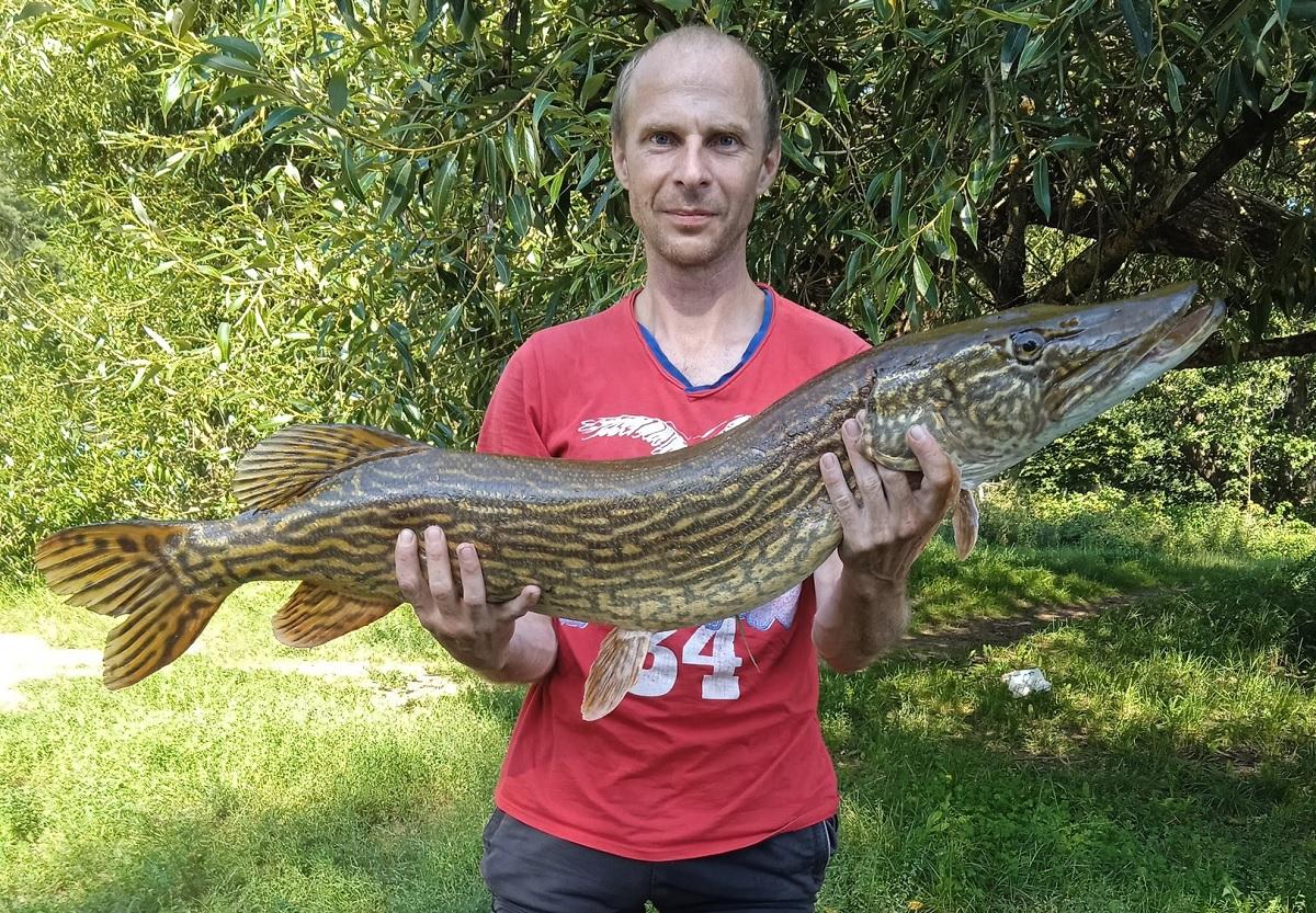 Вот это щукенция попалась  Сергею Садовскому из Осиповичей. 9,6 килограмма!