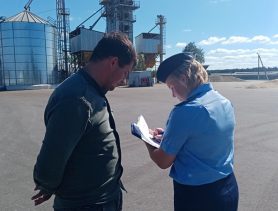 Спишут ли на птиц недобор зерна на складе в Брестской области?