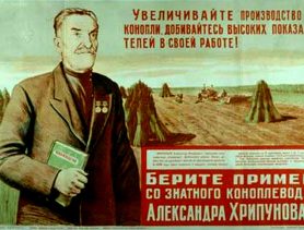 За выращивание конопли в СССР давали грамоты, а сейчас сроки в тюрьме