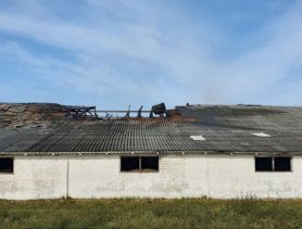 Пожары в Ганцевичском районе: погиб сельчанин, спасли двести телят