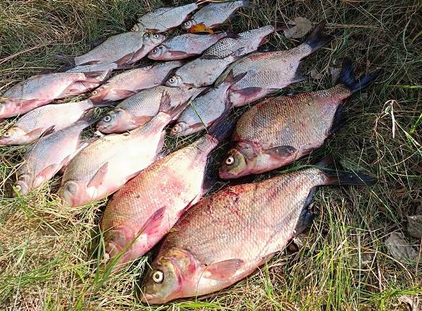 рыбалка Припять