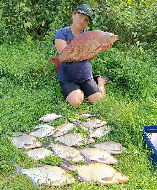 лещ припять рыбалка