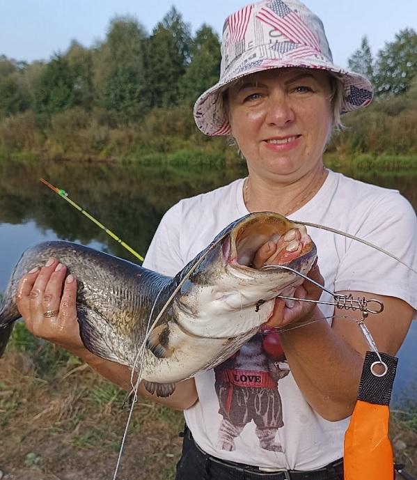 сом припять рыбалка