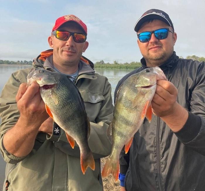 окунь рыбалка Припять