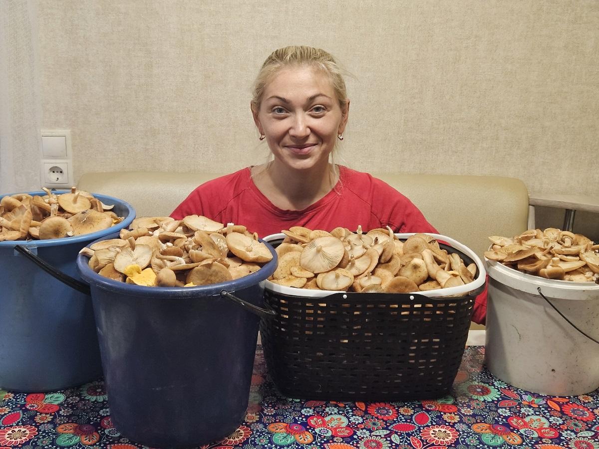 Смотрите, какой сбор у Ольги из Витебска. И это всего-то за пару часов! 