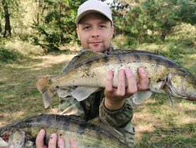 Сомы, лещи и судаки: как рыбачили в Беларуси на выходных