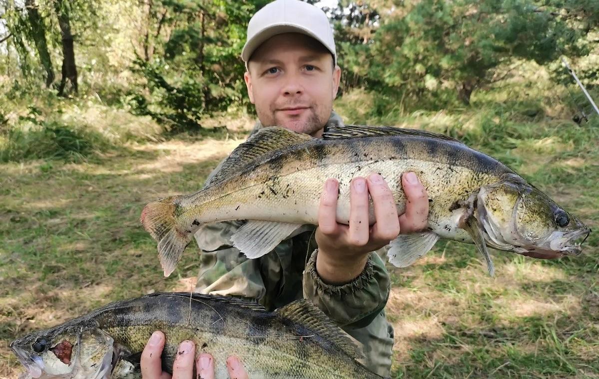 Павел Мендель из Бреста поймал двух судаков общим весом 3300 грамм