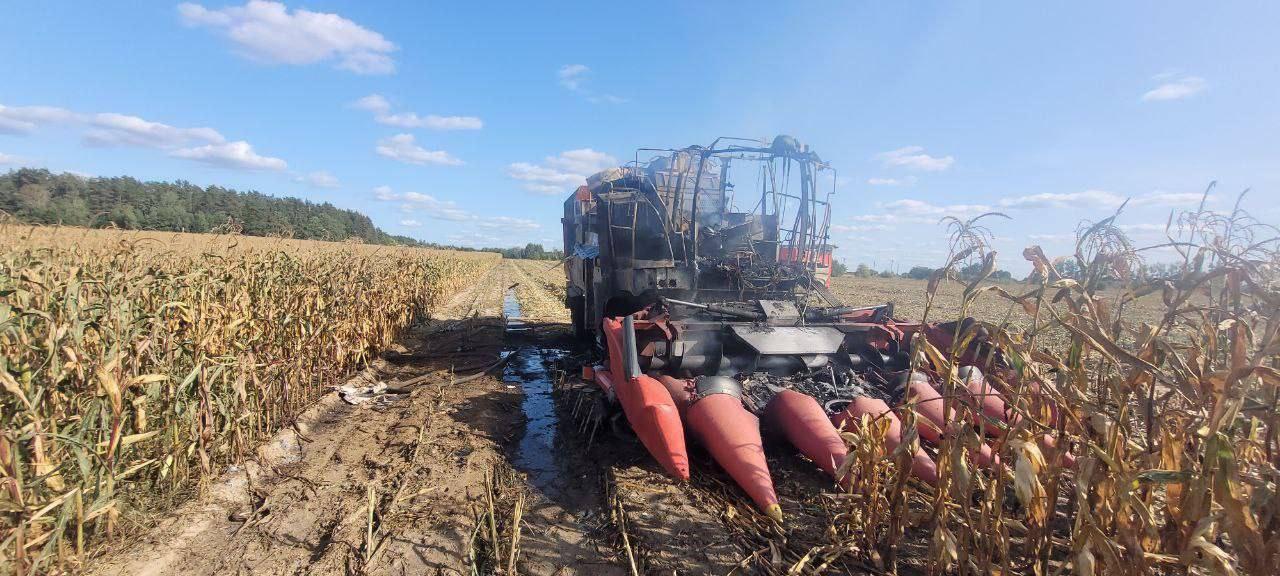 уборка кукурузы