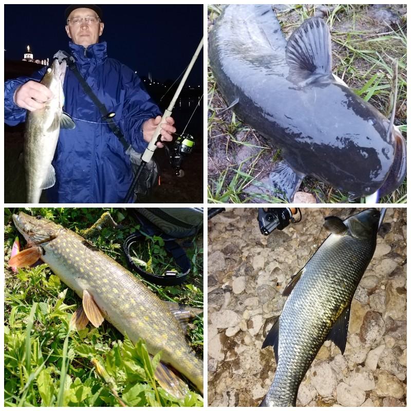 рыбалка Витебск