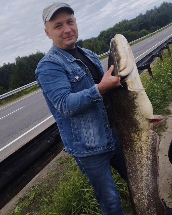 сом рыбалка