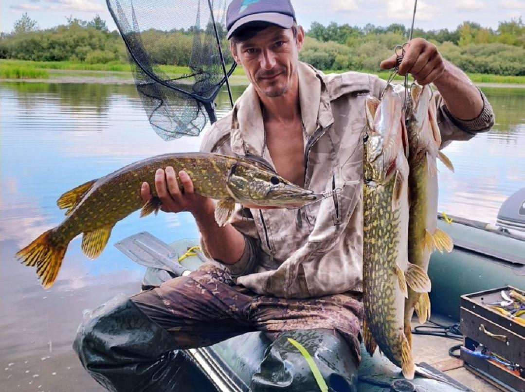 Станислав Акушевич рыбачил на Березине. Попались щука на 1,6 кг, и две на 2,2 кг