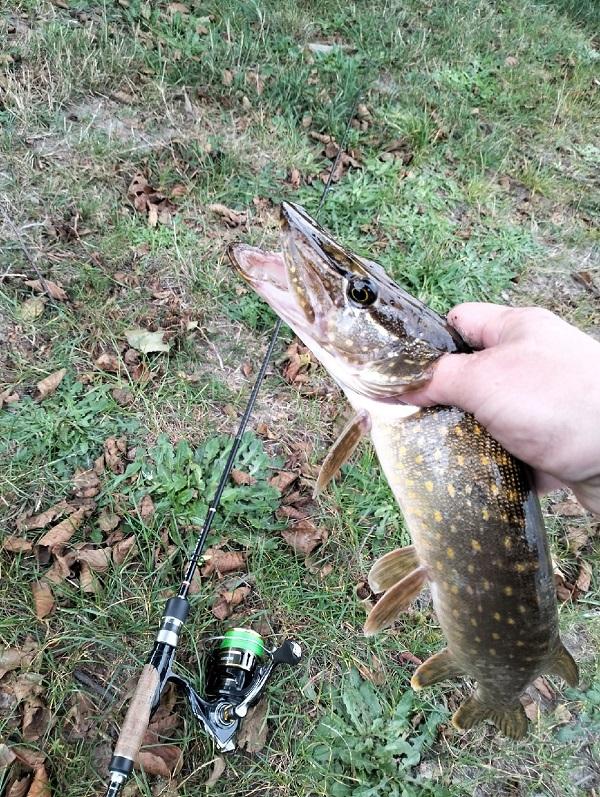 щука рыбалка