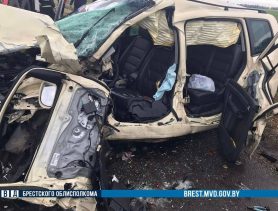 Девушка-водитель погибла после столкновения с грузовиком в Пинском районе