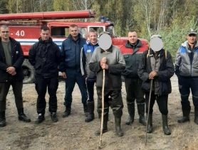 Ушел за ягодами и заблудился: пенсионер провел ночь в лесу в Столинском районе