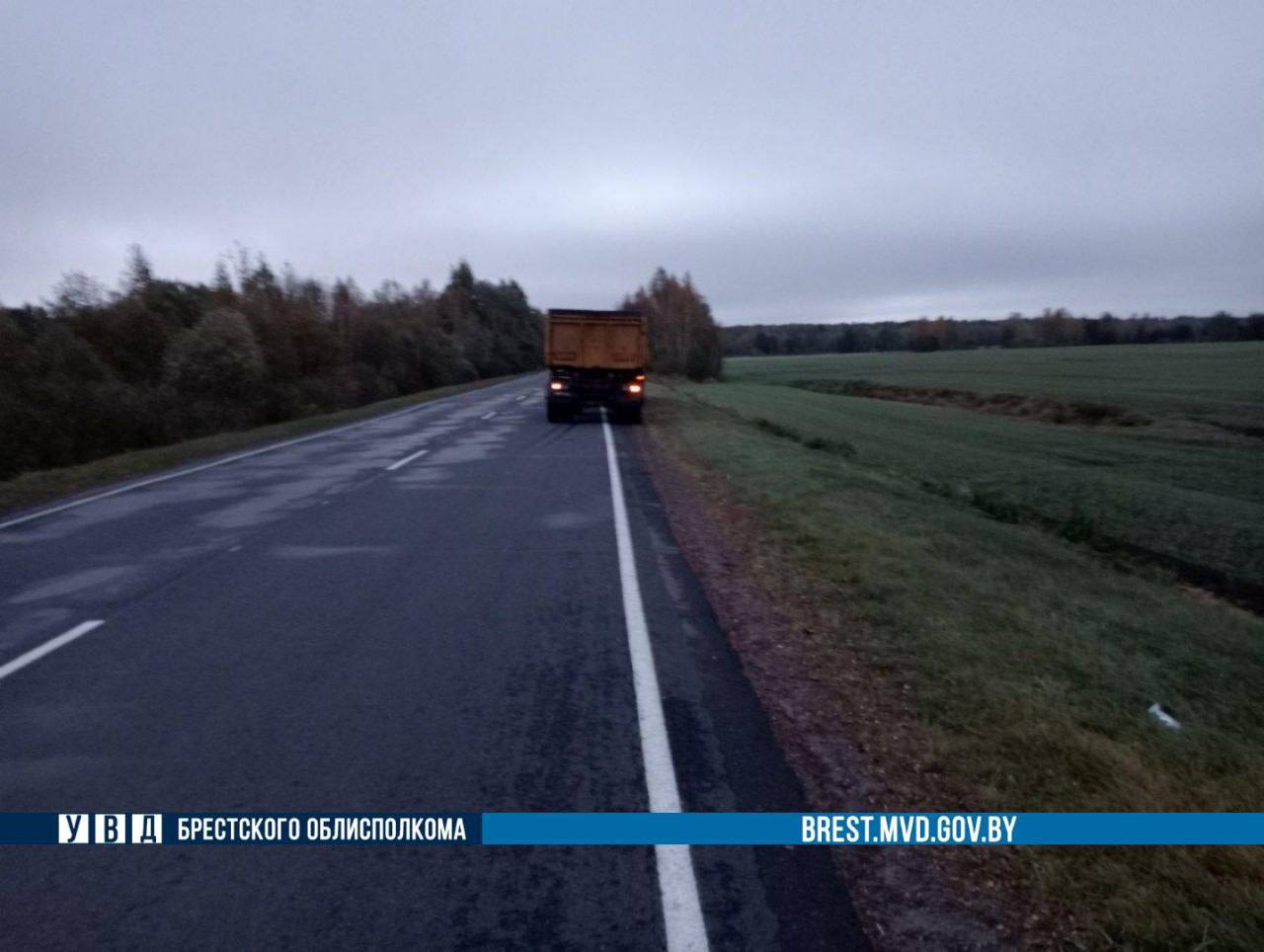 Водитель грузовика из Ганцевичей сбил пешехода. 17 октября 2023 года