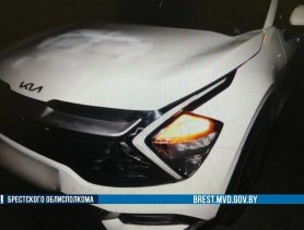 Россиянин сбил в Столинском районе пешехода, переходившего дорогу