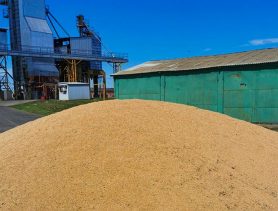 В Дрогичине судили тракториста, который запасался зерном