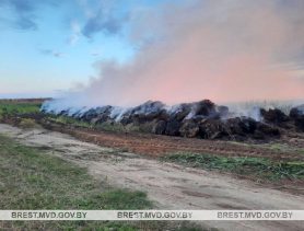Что ждет сельчанина, который из мести сжег 127 тонн соломы возле Барановичей?