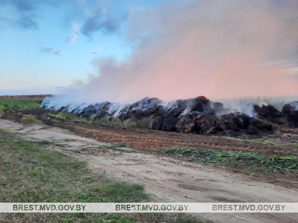 Что ждет сельчанин, который из мести сжег 127 тонн соломы возле Барановичей? 