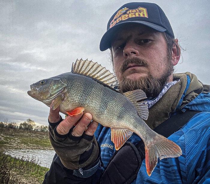 окунь рыбалка