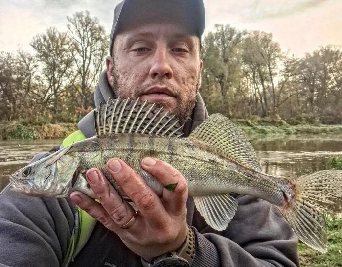 рыбалка судак