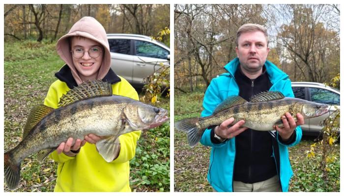 судак рыбалка