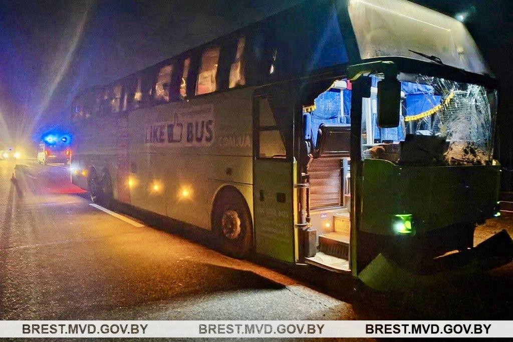 Туристический автобус насмерть сбил пешехода на трассе М1 в Березовском районе. 5 ноября 2023 года